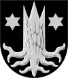 Kemijärvi Wappen