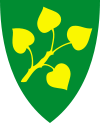 Stryn Wappen
