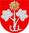 Muurame Wappen