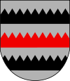 Saarijärvi