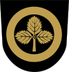 Suonenjoki Wappen