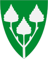 Birkenes Birkenes Wappen