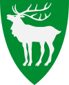 Hjartdal Wappen