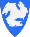 Ski Wappen