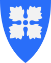 Skjåk Wappen
