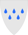 Tinn(Stadt) Wappen