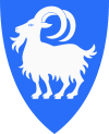 Vinje(Stadt) Wappen